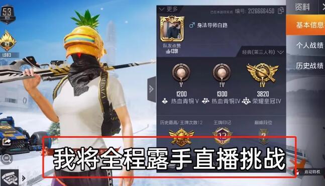 和平精英辅助【EAP+雷神】
