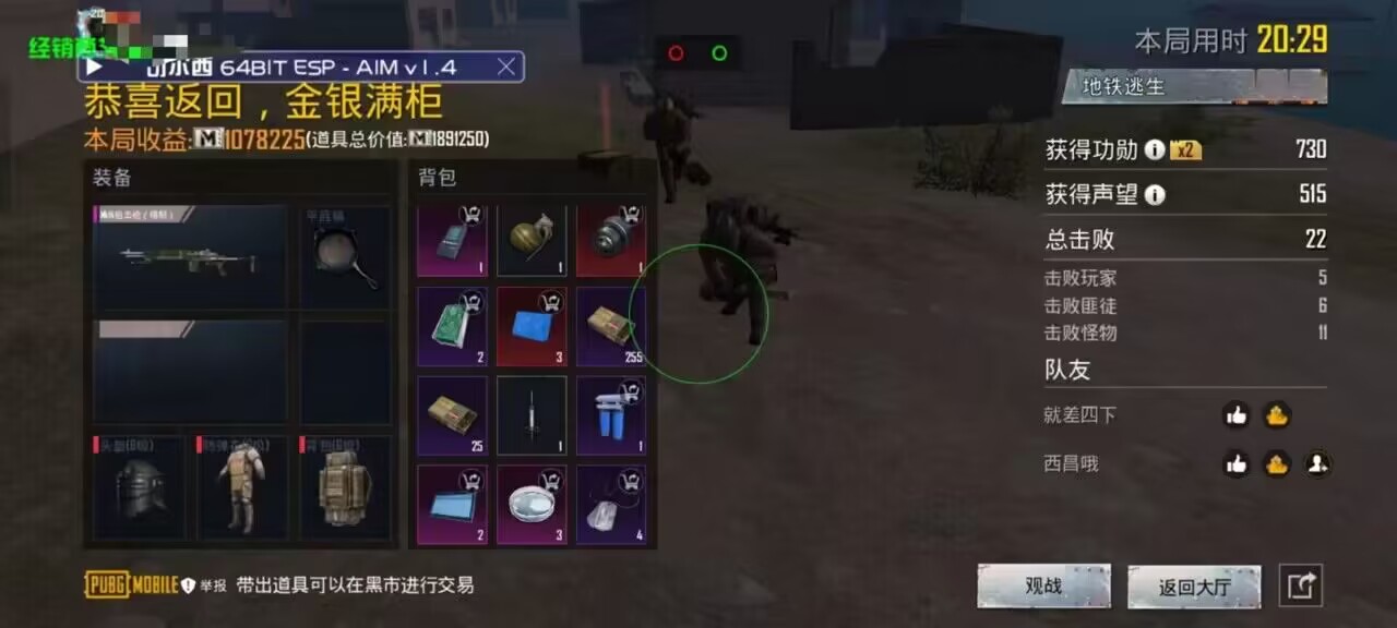 和平精英「小提琴」直装辅助