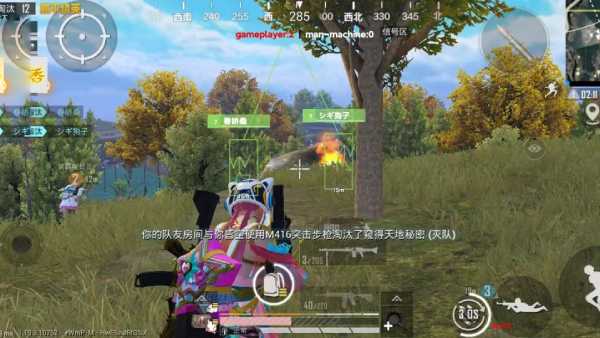和平精英「路易威登」外挂